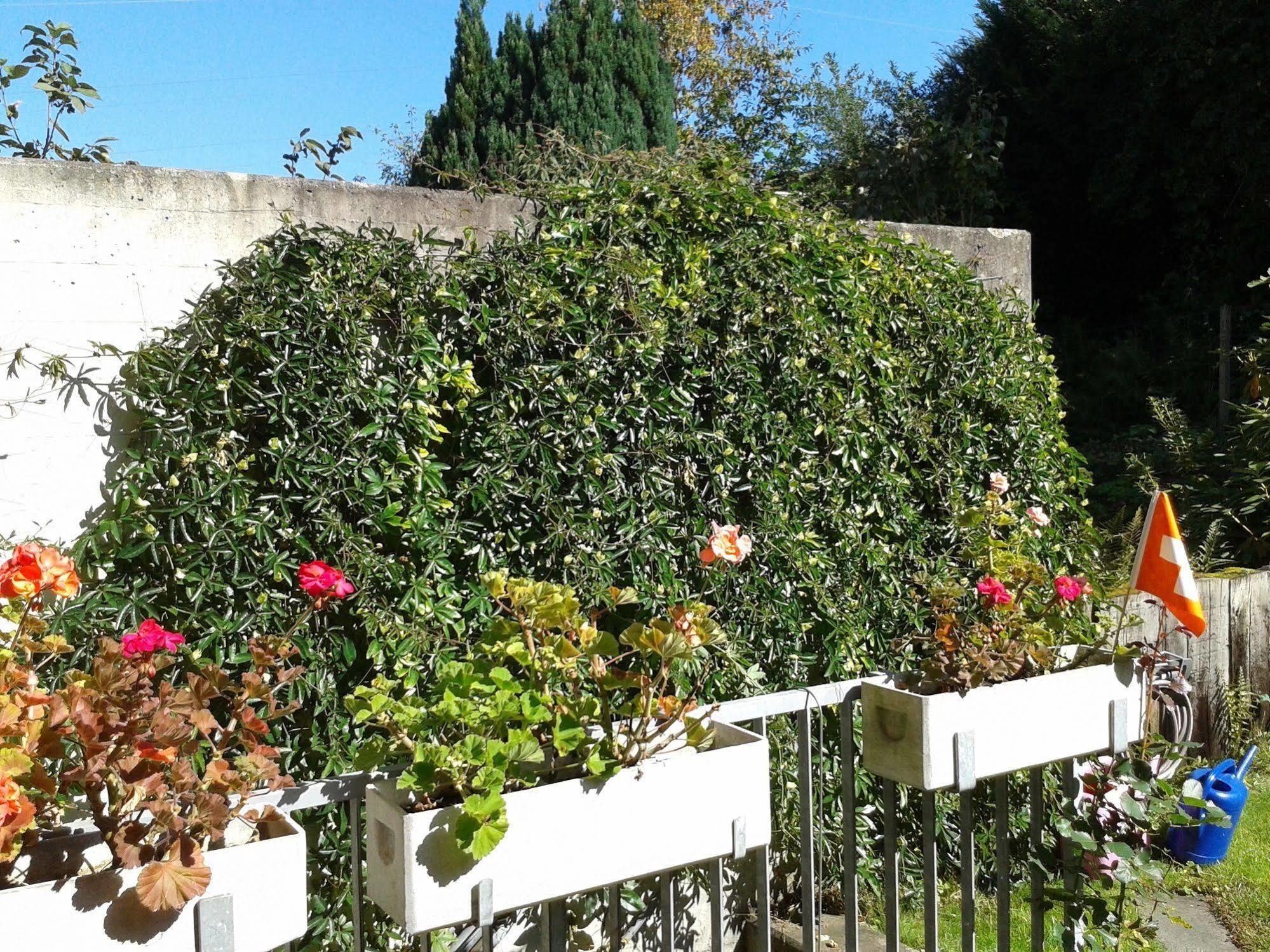Mybednbreakfast In Bottmingen Bed and Breakfast Εξωτερικό φωτογραφία