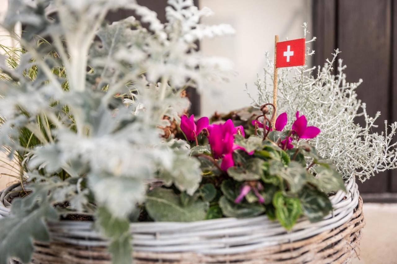 Mybednbreakfast In Bottmingen Bed and Breakfast Εξωτερικό φωτογραφία